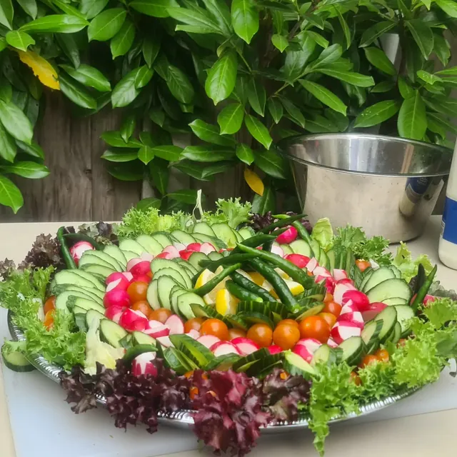 Fresh garden salad platter with cucumber, radish and cherry tomatoes
